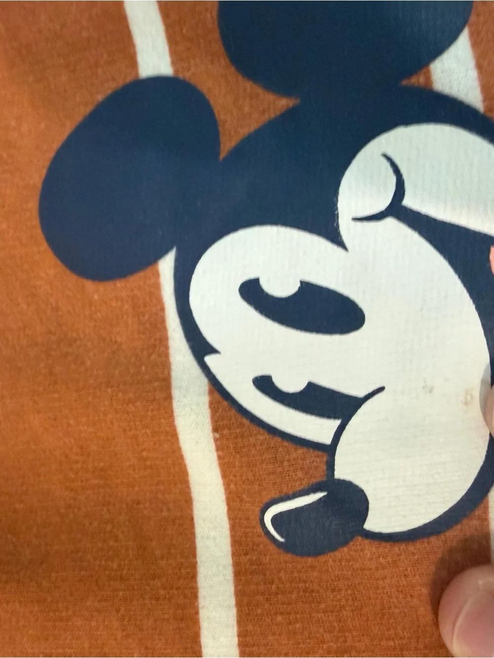 Disney mickey toddler